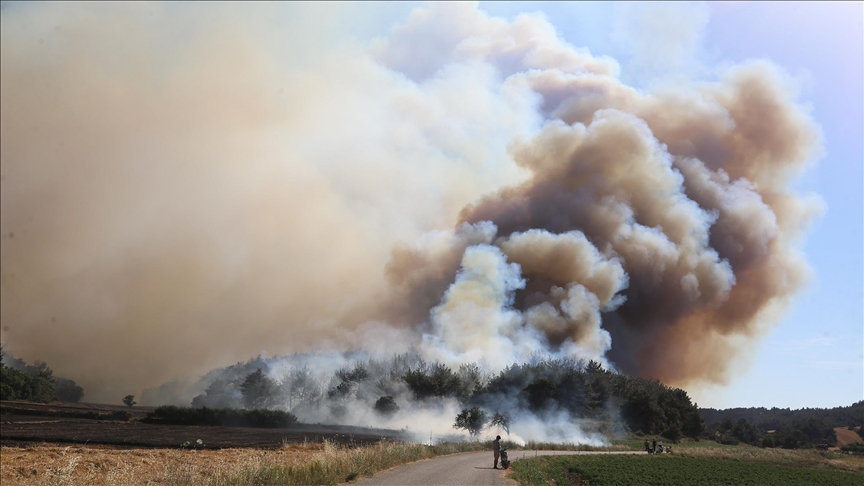 Village evacuated in northwestern Türkiye due to wildfires