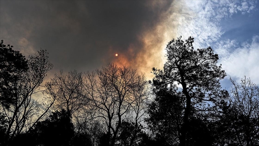 Wildfires prompt mass evacuations, state of emergency in New Mexico