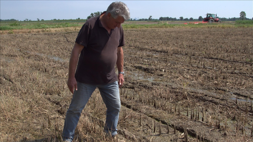 Italy’s farmers fret as intense rains swamp fields
