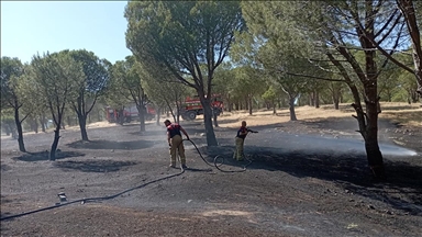 İzmir'in Karaburun ilçesinde çıkan orman yangını kontrol altına alındı