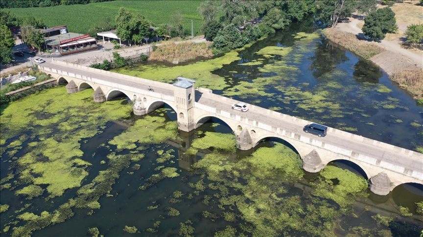 Tunca Nehri'nin yüzeyinin büyük bir kısmı yosun ve su mercimekleriyle  kaplandı