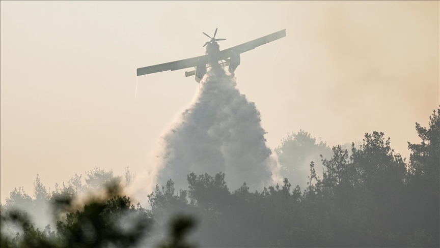 Wildfire in western Türkiye contained: Minister Wildfire in western Türkiye contained: Minister