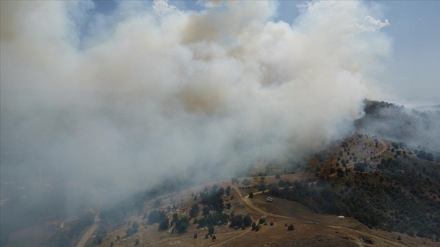 Elazığ'da ormanlık alanda çıkan yangın kontrol altına alındı