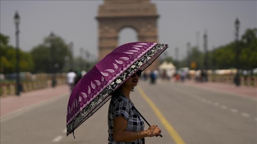 Delhi heat wave claims 192 homeless lives in 9 days: NGO