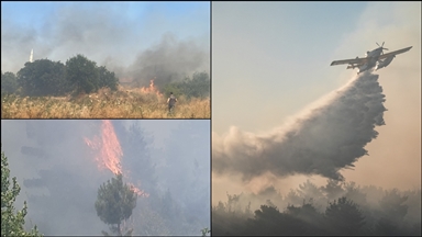 Çanakkale, Adana ve Balıkesir'deki yangınlara müdahale sürüyor