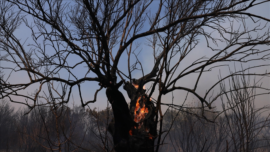 Extreme wildfire risk in Greece amid searing heatwave