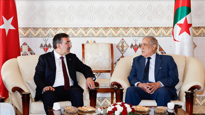 Turkish vice president arrives in Algeria for high-level talks