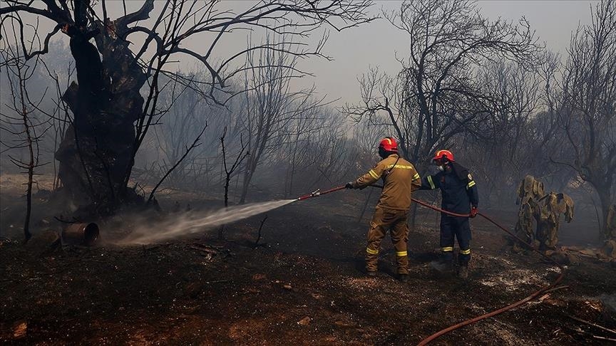66 wildfires reported in Greece in last 24 hours
