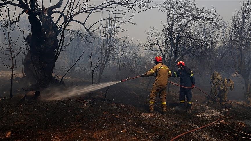 66 wildfires reported in Greece in final 24 hours