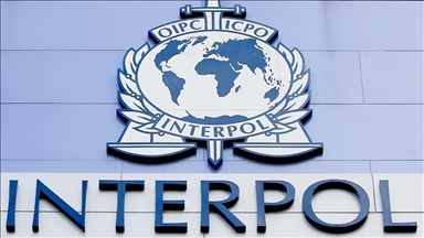 Interpol arrests 219 criminals in human trafficking operation