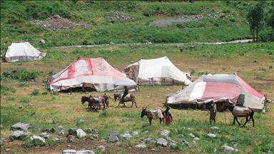 کوێستانەكانی هەکاری پێشوازی لە کۆچەرییەکان دەکات