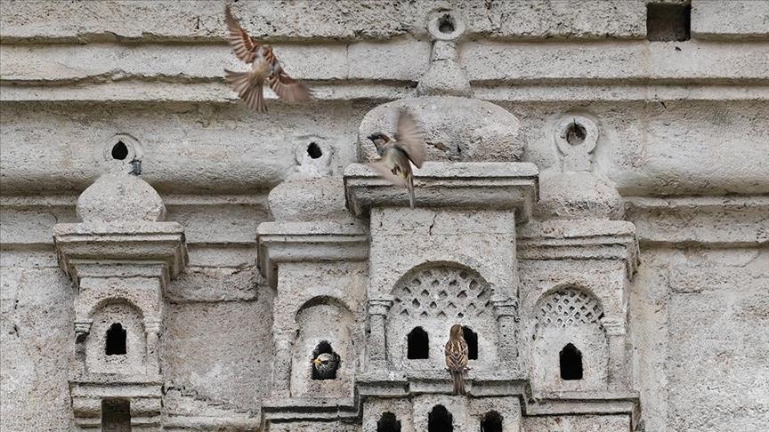 Sjećanja na djela osmanske civilizacije: Kućice za ptice i danas krase građevine širom Istanbula