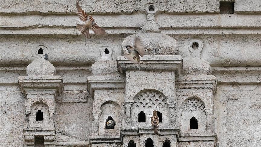 Отоманските куќички за птици ја чуваат својата убавина веќе 5 века
