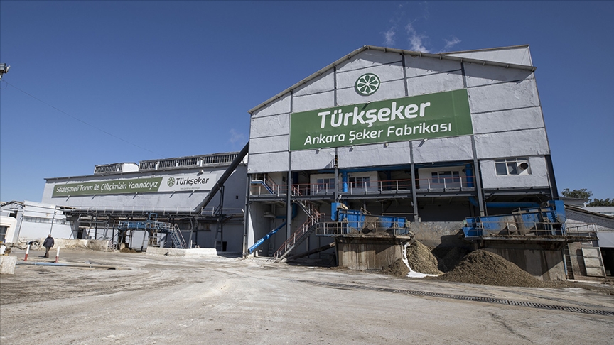 Yerli şeker pancarı tohumları gelecek yıl toprakla buluşacak