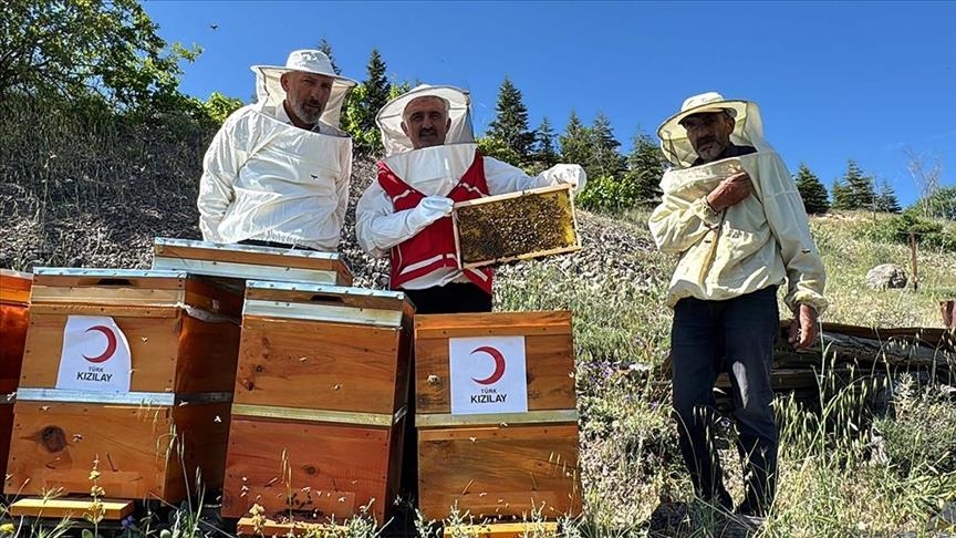 Hope, support from Türkiye's Mugla city: Honey sent to Gaza amid crisis