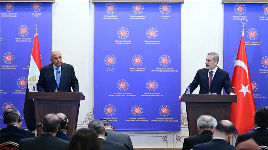 فيدان وشكري يبحثان الوضع في غزة