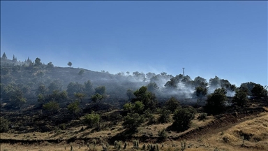 Elazığ'da çıkan yangında 45 dönüm ormanlık ve ekili alan zarar gördü