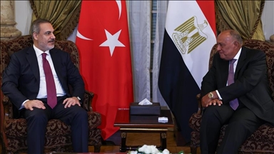 Les MAE turc et égyptien discutent de la situation à Gaza  