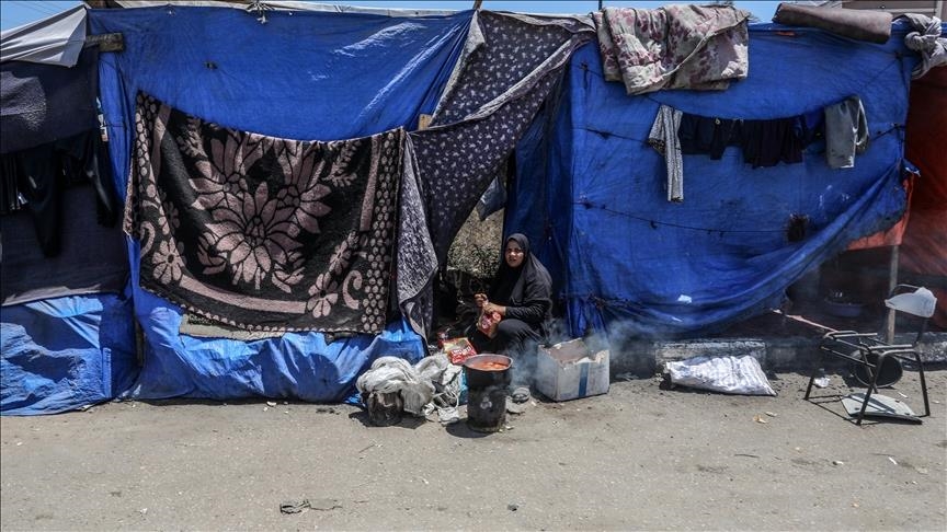 Gazans struggle with hunger as Israel’s blockade forces some to eat tree leaves Gazans struggle with hunger as Israel’s blockade forces some to eat tree leaves