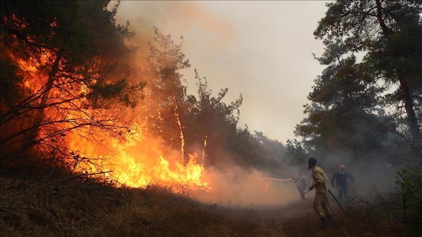 المغرب يستعين بالذكاء الاصطناعي للحد من حرائق الغابات (تقرير)