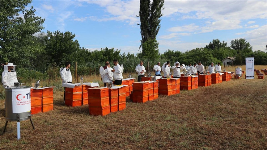 Поддршка од ТИКА за пчеларите во Северна Македонија