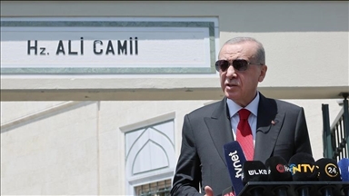 Эрдоган: Анкара не намерена вмешиваться во внутренние дела Сирии