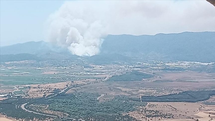 İzmir'de çıkan orman yangınına müdahale ediliyor