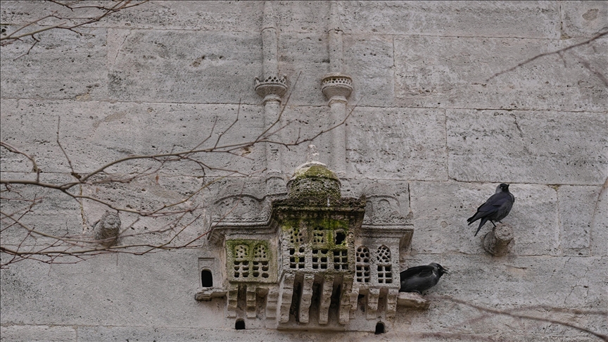 قصور الطيور.. لوحات فنية عثمانية تُغرد بالرحمة على مر العصور