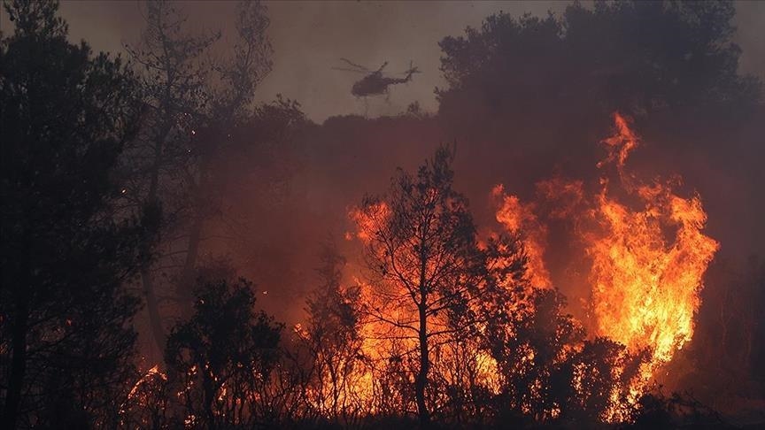 Грција: Шумски пожар во Кератеа ги зафати населените места