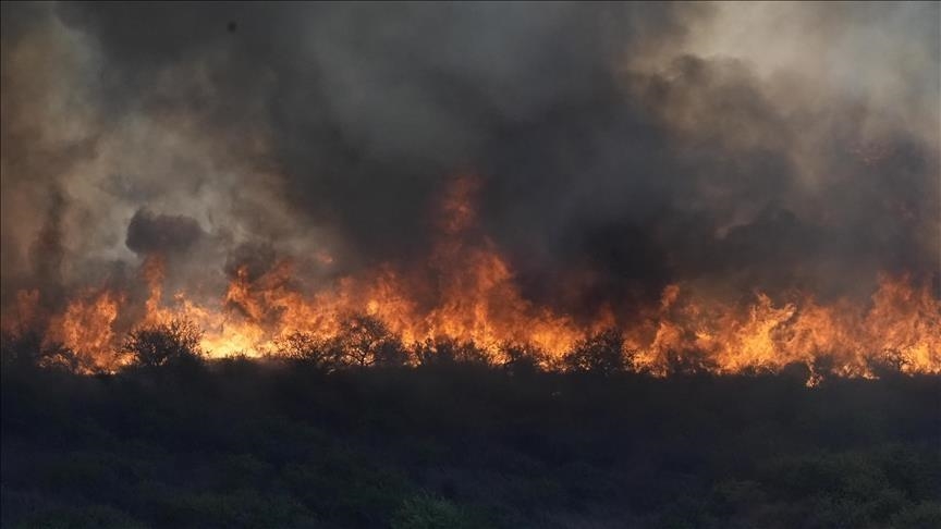 Grèce : 2 incendies de forêt ravagent la région de l'Attique