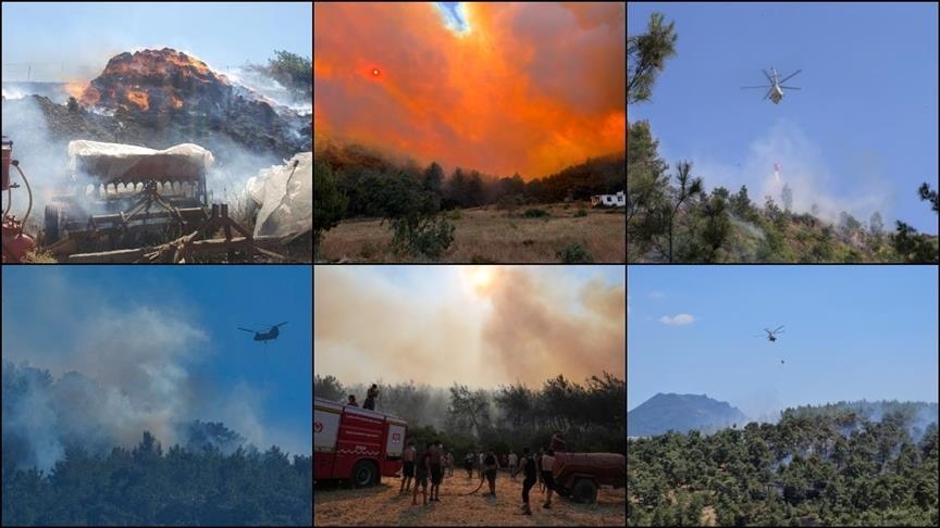 السلطات تركية تكافح حرائق غابات اندلعت في عدة ولايات