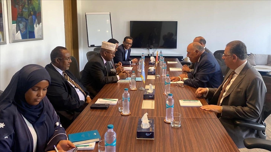 مباحثات مصرية صومالية بشأن تعزيز التعاون ومستجدات القرن الإفريقي
