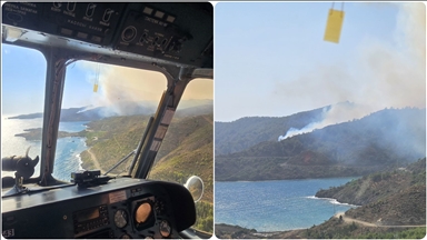 Muğla'nın Marmaris ilçesinde orman yangını çıktı