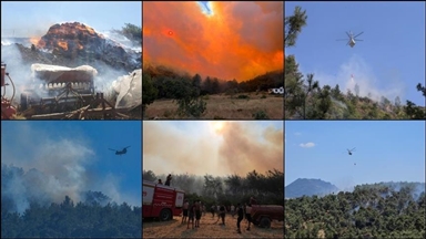 السلطات تركية تكافح حرائق غابات اندلعت في عدة ولايات