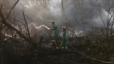 أستراليا.. تواصل عمليات إخماد حريق اندلع في منجم فحم