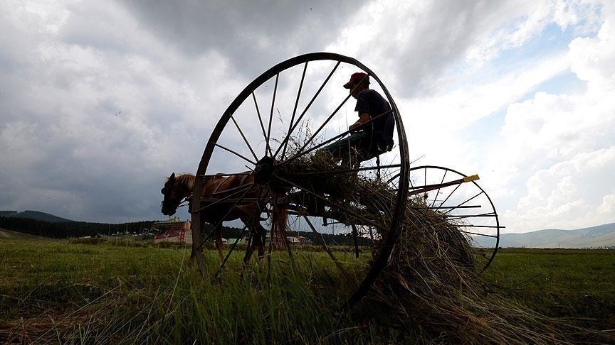 Türkiye ranks 1st in Europe with $68.5B in agricultural revenue in 2023