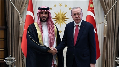 دیدار اردوغان و وزیر دفاع عربستان