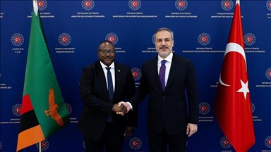 В Анкаре обсудили турецко-замбийские отношения