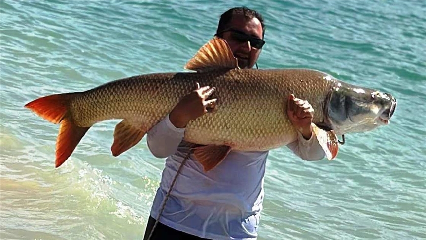 Elazığ'da amatör balıkçı 39 kilogramlık turna balığı yakaladı