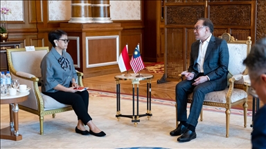 Malaysia, Indonesia reaffirm ‘unwavering support’ for Palestine