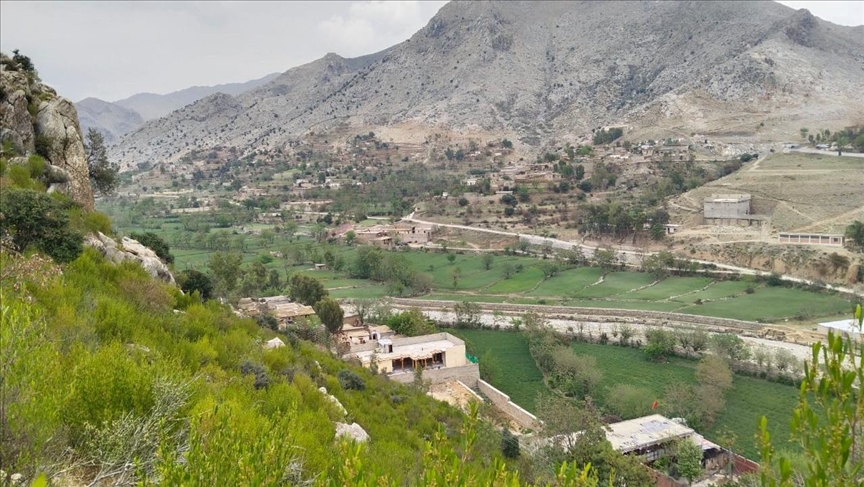 How landslides fueled a climate warrior’s forestation drive in Pakistan