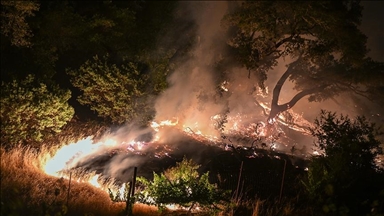 В Калифорнии из-за пожаров эвакуированы более 26 000 человек