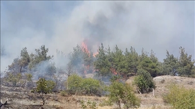 Amasya'da otluk alanda çıkıp ormana sıçrayan yangın söndürüldü