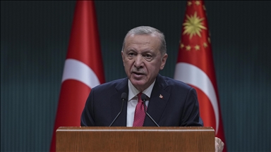 Türkiye aims to ensure peace in its region through vigorous diplomacy, says president