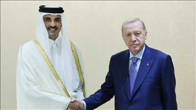 Turkish president, Qatari emir discuss Israel's attacks on Gaza, Lebanon