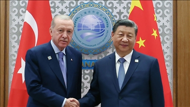 Turkish, Chinese presidents discuss bilateral ties, Israel's attacks on Palestine