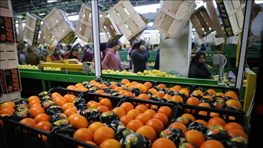 Meyve ve sebze mamulleri sektörü yılın ilk yarısında 1,3 milyar dolarlık ihracat yaptı