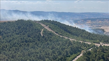 Balıkesir'de çıkan orman yangını kontrol altına alındı 