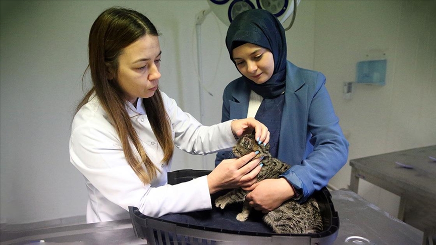 Genç girişimci, hayvanlar için bitki özlerinden bakım solüsyonu üretti