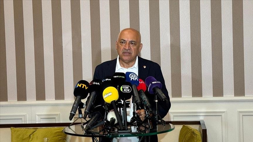 Turkish football federation chief condemns UEFA's penalty to Turkish player for his gray wolf gesture